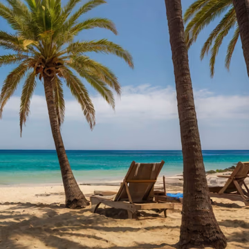 Relax on the Beach