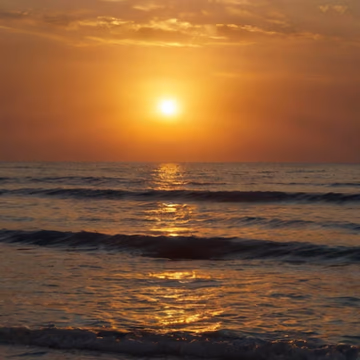 Sunset Vibes